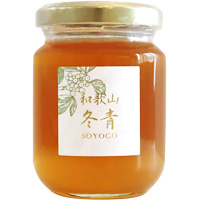 日本　冬青